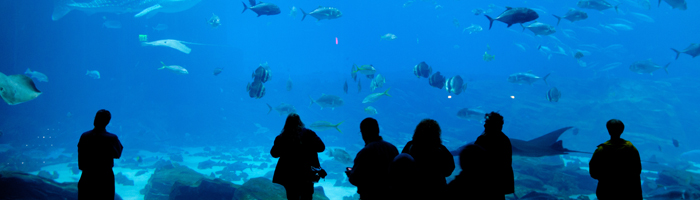 水族館和水上公園的臭氧處理